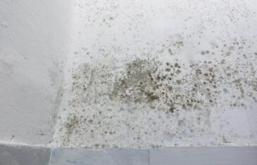 umidita sul muro