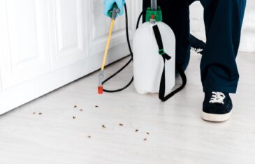 eliminare blatte e scarafaggi in casa
